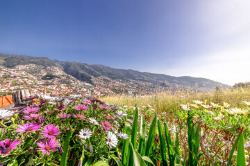Blick auf die bewohnten Steillagen der Blumeninsel Madeira - View of the inhabited steep slopes of the flower island of Madeira