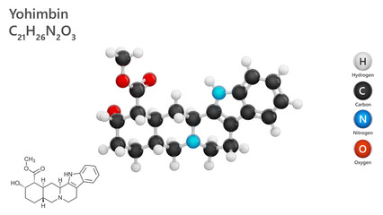 Molecule: Yohimbine. Indole alkaloid. Molecular structure. Formula: C21H26N2O3. Chemical model: Ball and stick. White background. 3D illustration.