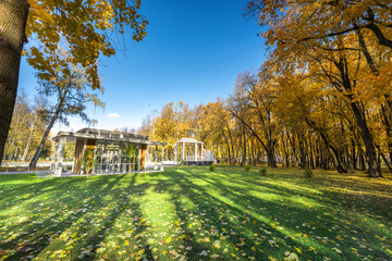 A park with a white gazebo and a large tree with a lot of leaves