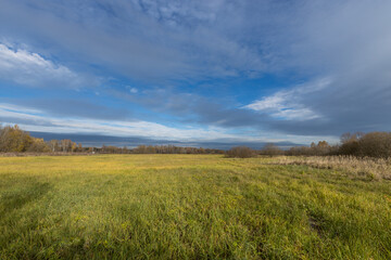 A field of grass with a blue sky in the background