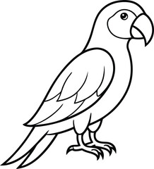 Obraz premium parrot bird Vector Illustration
