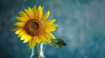 Obraz premium A yellow sunflower in a glass vase