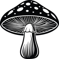 Mushroom Vector Art Illustration
