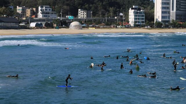 Surf Enthusiasts at Jukdo Beach