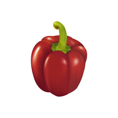 Realistic Red bell pepper
