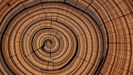 Fototapeta premium Close-up of tree rings showing growth patterns and history of the tree, history, wood