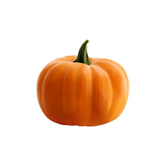 Realistic Organic Orange Pumpkin