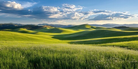 Fototapeta premium Rolling Green Hills with Blue Sky and White Clouds. Panoramic View of Beautiful Landscape