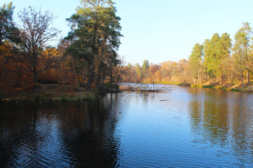 autumn landscape of a river in the park, autumn trees reflected in water