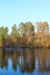 autumn trees reflected in water