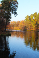 autumn landscape of a river in the park, autumn trees reflected in water