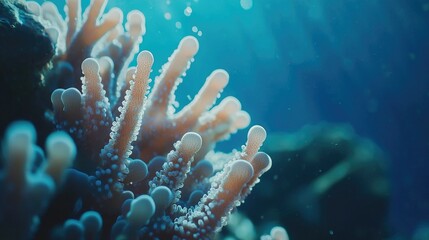 Obraz premium Close-up of vibrant coral polyps in the blue ocean.