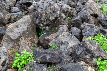 ROCKS