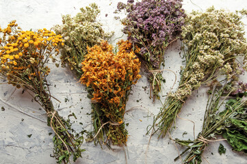different wild medicinal dry herbs: white yarrow herb blossoming, yellow tansy herb, lilac...