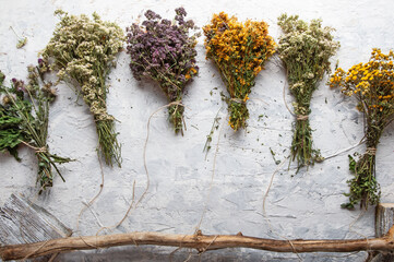 different wild medicinal dry herbs: white yarrow herb blossoming, yellow tansy herb, lilac...