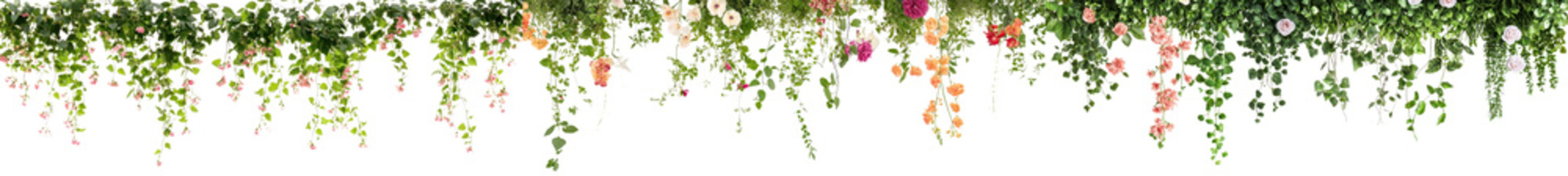 Lush vibrant green foliage and cascading hanging vines forming an overhead natural floral backdrop  Verdant organic botanical elements creating a fresh