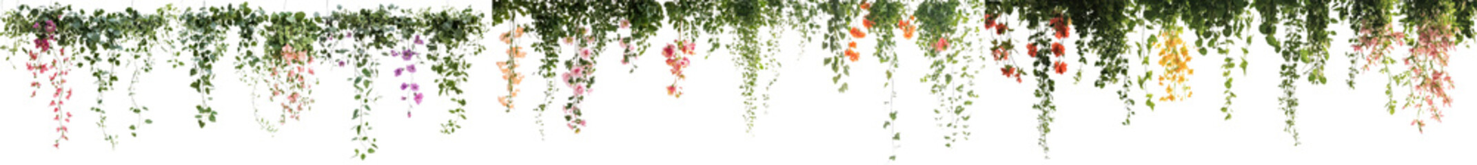 Vibrant Lush and Abundant Hanging Floral Arrangement of Colorful Flowers and Foliage in a Natural Overgrown Garden Setting  Cascading Vines and Trailing Plants Create a Decorative