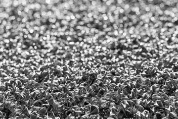 Background of steel wires twisted into spirals in the form of prisms. Spiral-prismatic nozzle. Abstract metal background.