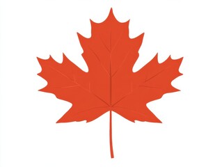 Obraz premium A single, vibrant red maple leaf isolated on a white background.