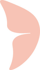 beautiful flying butterfly front view