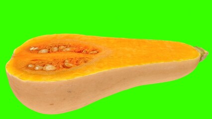 Chopped pumpkin with green background