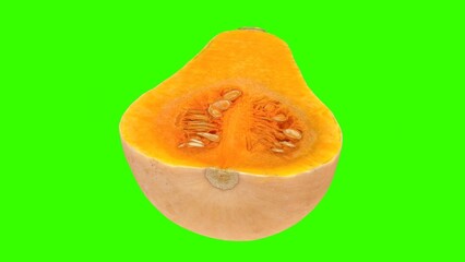 Chopped pumpkin with green background