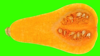 Chopped pumpkin with green background