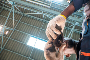 skilled worker inspects an industrial gear while holding it carefully with protective gloves. The...