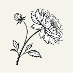 Black and white dahlia flower line art leaves