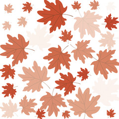 Autumn Leaves Pattern