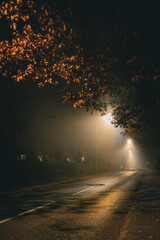 Ulica w mgłę © Dorota