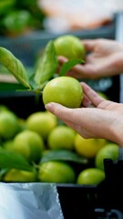 hands of a young European woman holding limes at a farmer's market