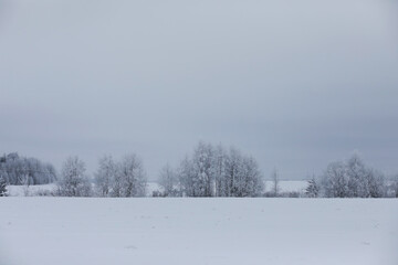 Winter snowy frosty landscape. The forest is covered with snow. Frost and fog in the park.