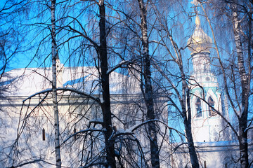 Winter landscape. Trees and plants covered with snow. The beauty of snow covered paths. Snowfall and cooling in tourist areas.