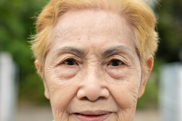 Close-up portrait of an 80-year-old Asian woman outdoors, showing wisdom and peace with gentle smile in natural light highlights for themes of aging, wisdom, life experience and senior wellness.