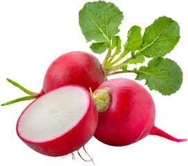 Radish