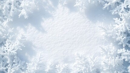 Frosty Branches Framing a Blank Space