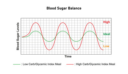 Blood Glucose Balance Science Design. Vector Illustration.