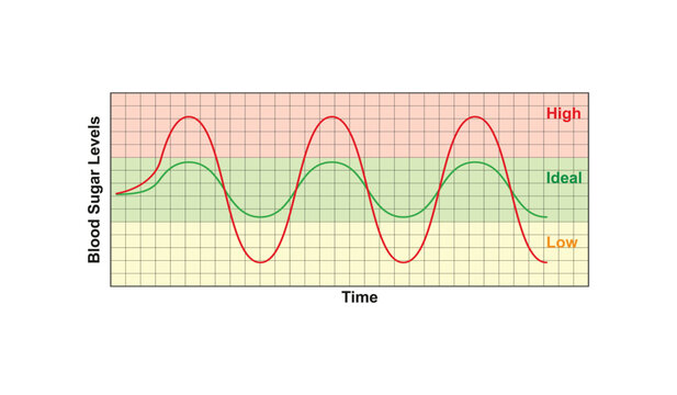 Blood Glucose Balance Science Design. Vector Illustration.