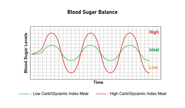 Blood Glucose Balance Science Design. Vector Illustration.