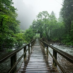 Obraz premium rain in the forest, a small river and a bridge