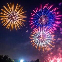 beautiful colorful fireworks in sky