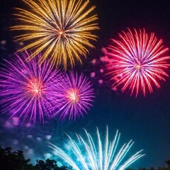 colorful fireworks on dark sky background