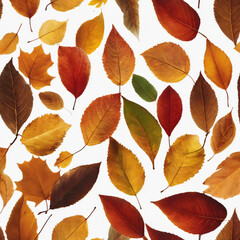 Vibrant autumn leaves scattered on a white background showcasing the rich colors of the season