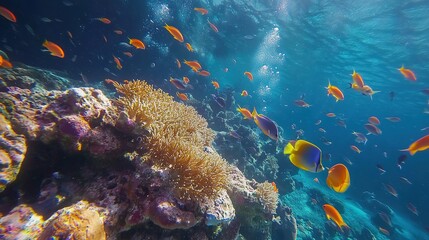 Naklejka premium A scuba diving adventure tour, exploring a coral reef with schools of colorful fish.