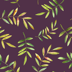 Colorful falling autumn leaves. Hand drawn watercolor illustration, seamless pattern on Italian plum background. For design, textile, paper and much more