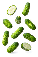  Floating pickled cucumber slices, isolated on white background
