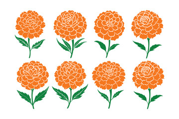 Marigold vector Bundle, Marigold Silhouette vector illustration