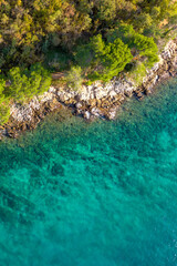 Vertical aerial view of calm emerald water of Adriatic Sea rocky shore and green forest. Beauty nature background, ecological concept, abstract seascape wallpaper, travel, vacation in Croatia