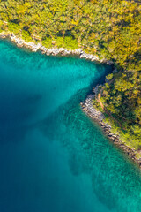 view from drone of calm emerald water of Adriatic Sea rocky shore and green forest. Beauty nature background, ecological concept, vertical abstract seascape wallpaper, travel, vacation in Croatia